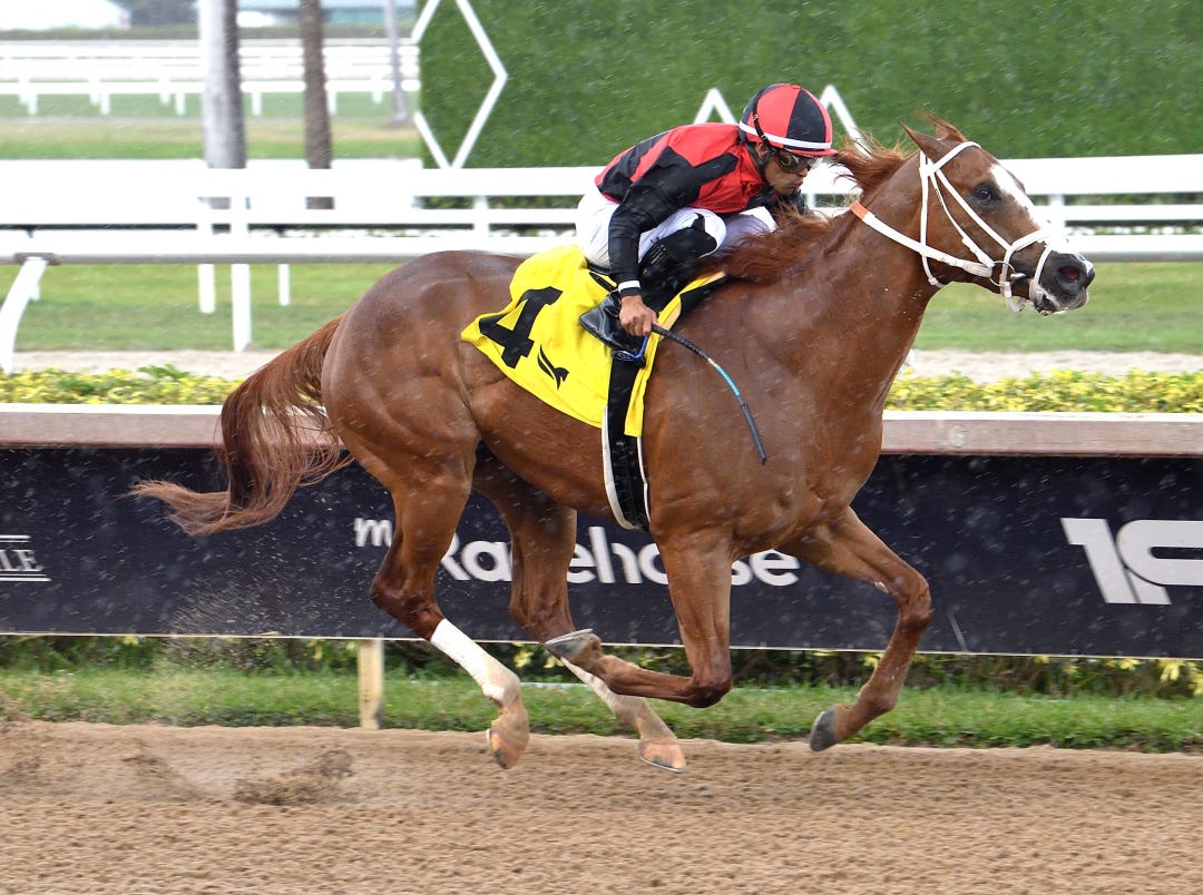 Here Comes Francis wins maiden at GP March 15 2025