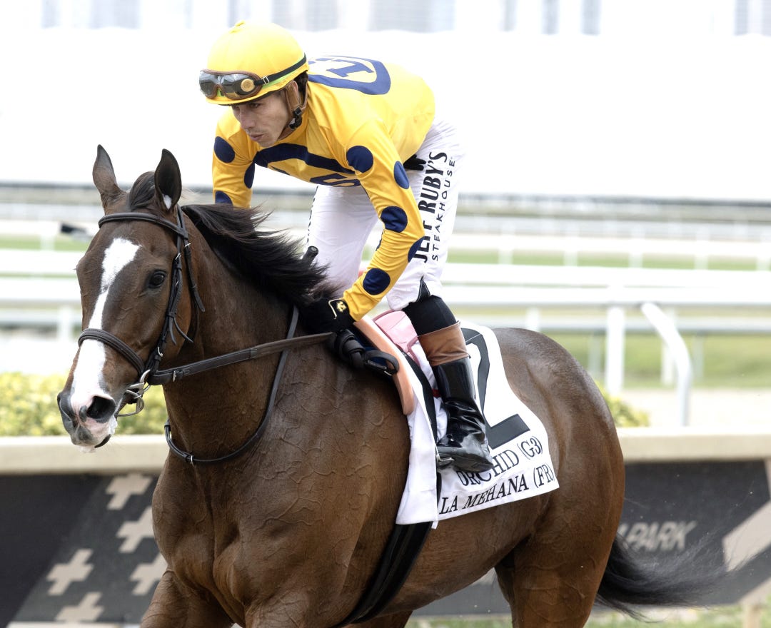 La Mehana (not winner) at GP March 29 2025