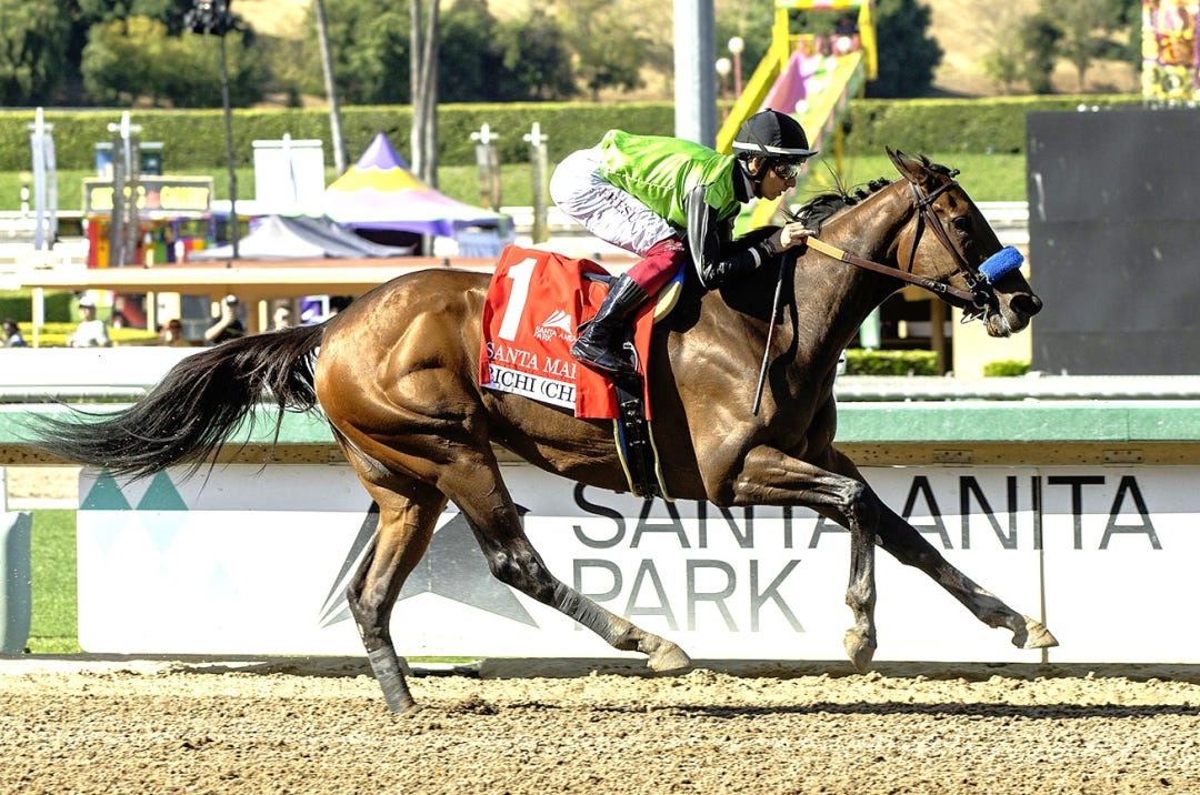 Richi wins Santa Maria at SA April 19 2025