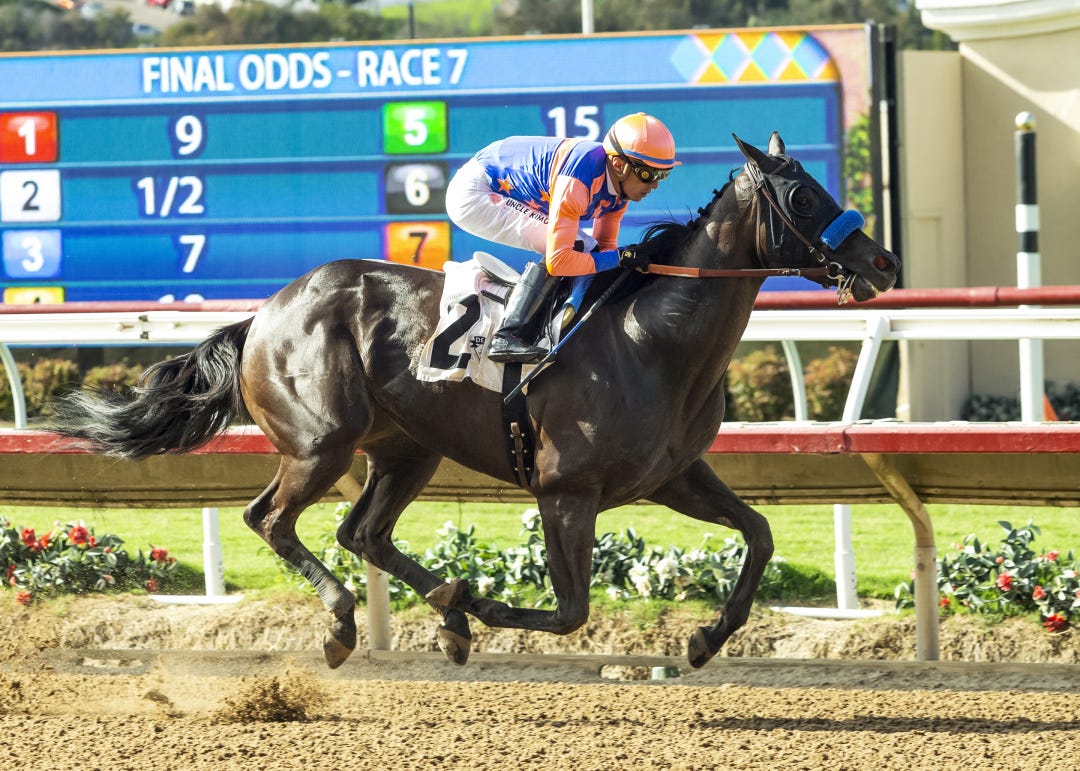 Splendora wins at DMR July 24 2025