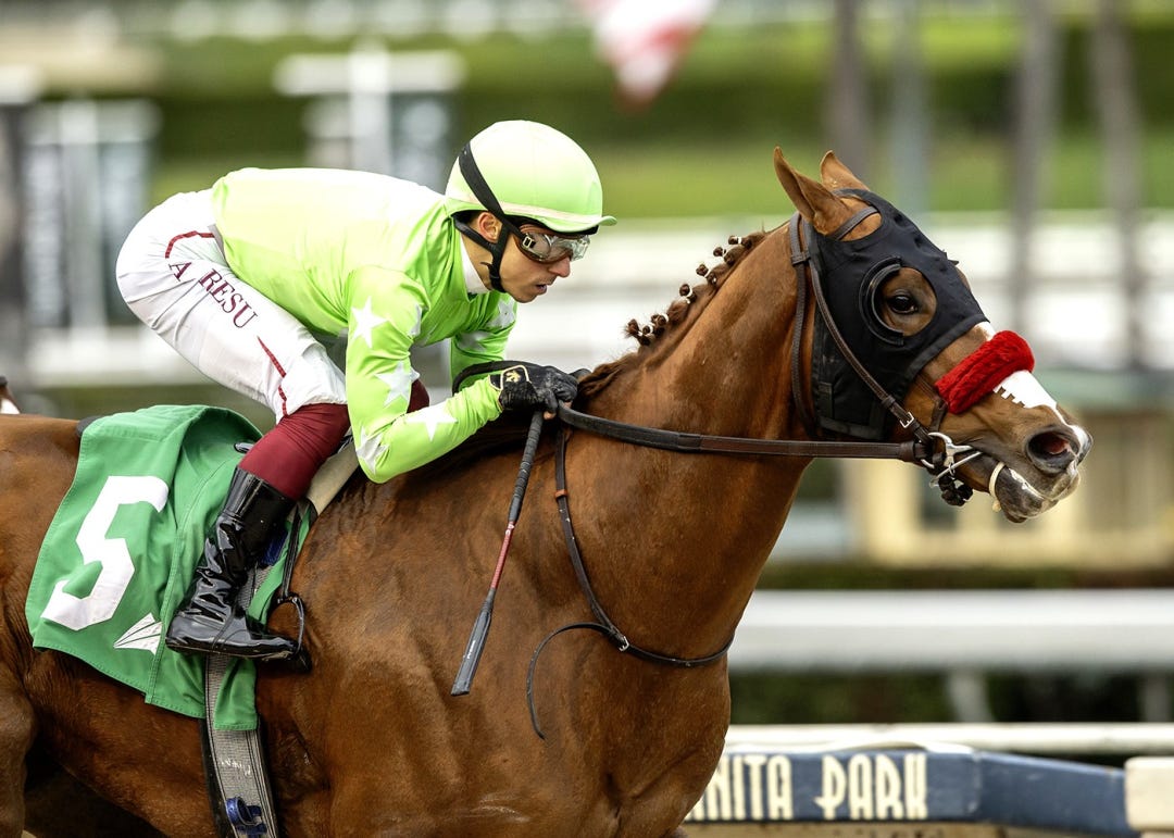 Vlahos wins Clocker's Corner at SA Jan 26 2025