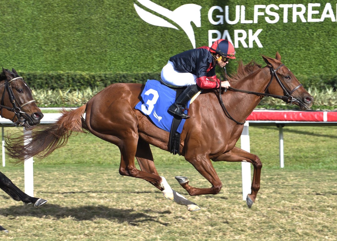 Youknownothing wins at GP Jan 10 2025