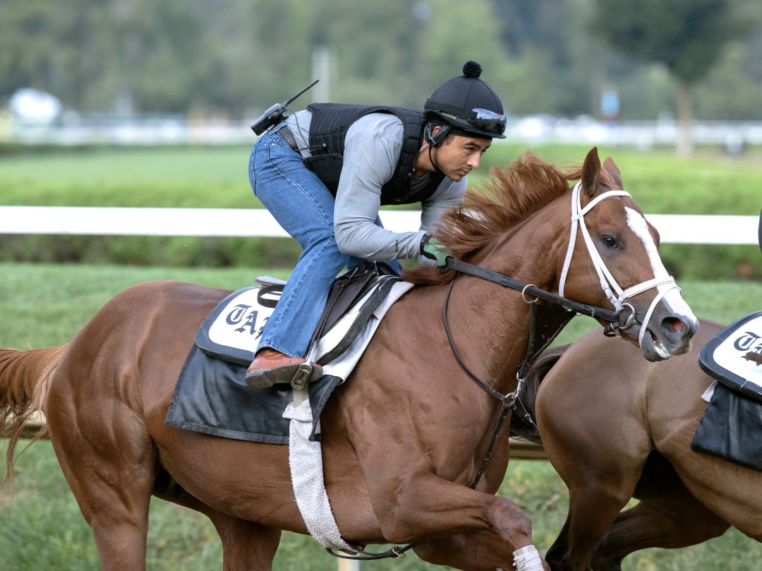 Antiquarian works at SAR Aug 24 2025