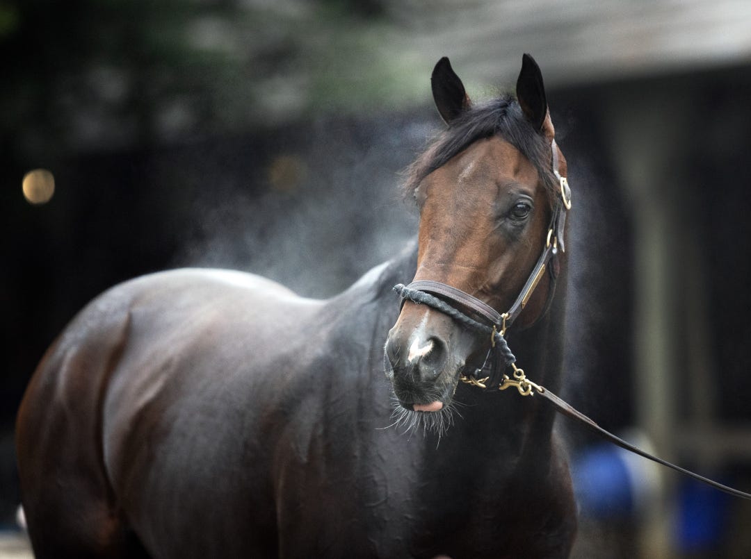 Magnitude at SAR Aug 17 2025