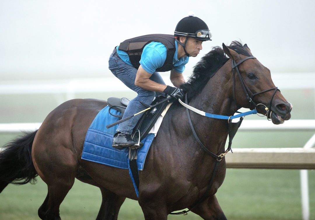 Magnitude works at SAR Aug 17 2025