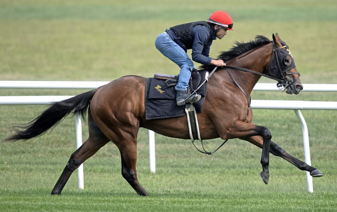 Schwarzenegger works at SAR Aug 8 2025