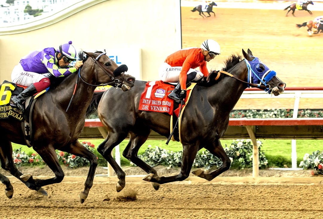 Dr. Venkman wins Pat O'Brien at DMR Aug 23 2025