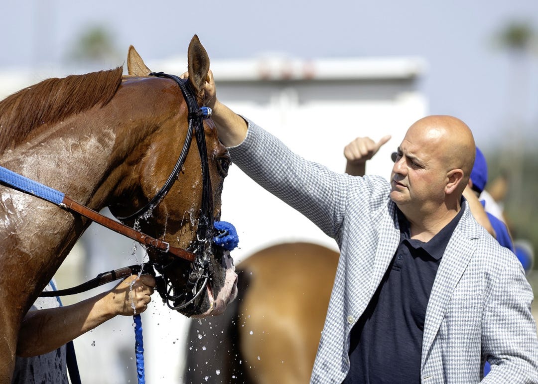George Papaprodromou. Snkeakers after Fran's Valentine Stakes at SA May 24 2025