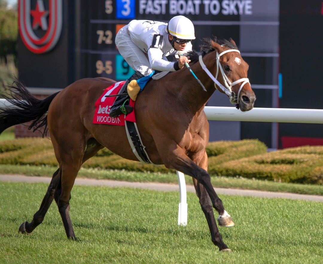 Peja Du wins at WO Sept 8 2024