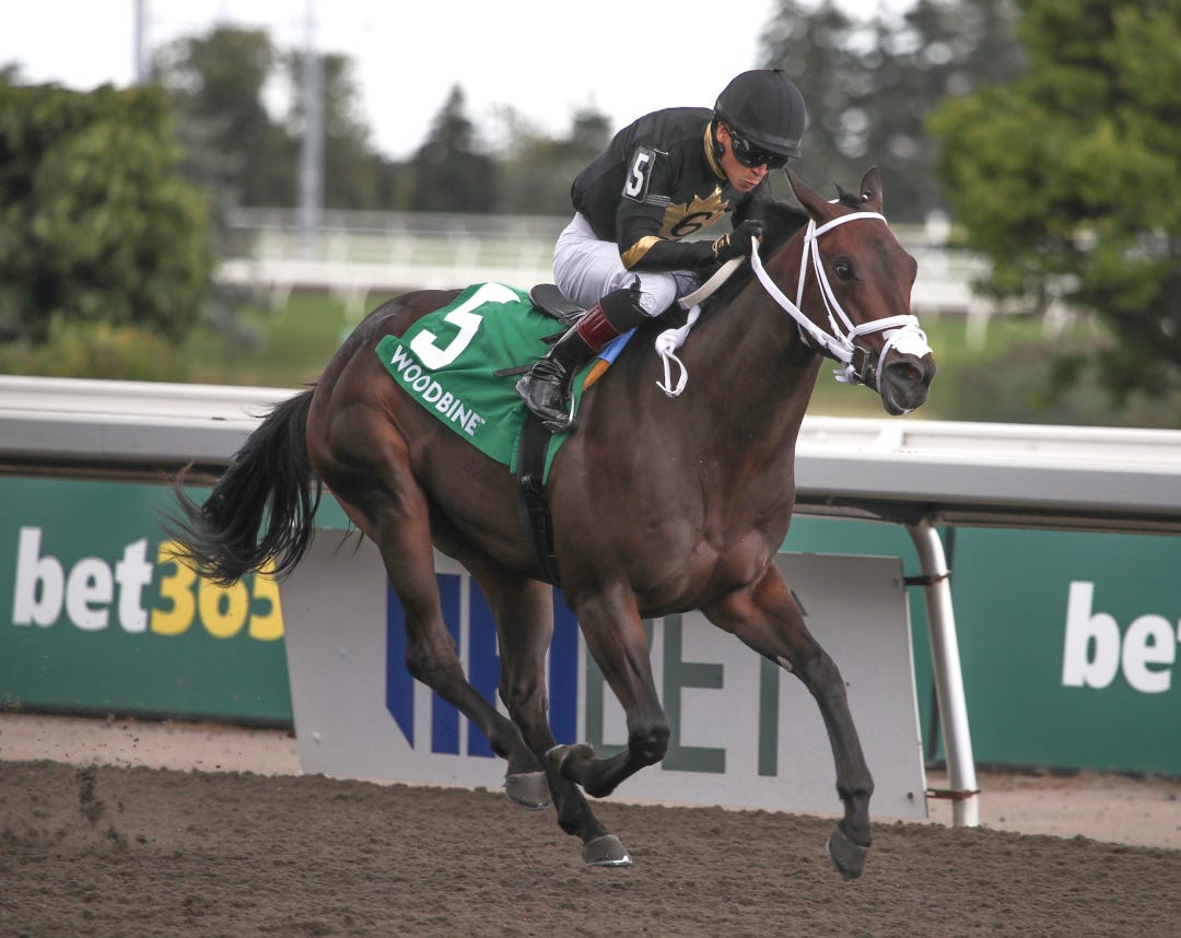 Souper Diva wins Muskoka Stakes at WO Aug 24 2025