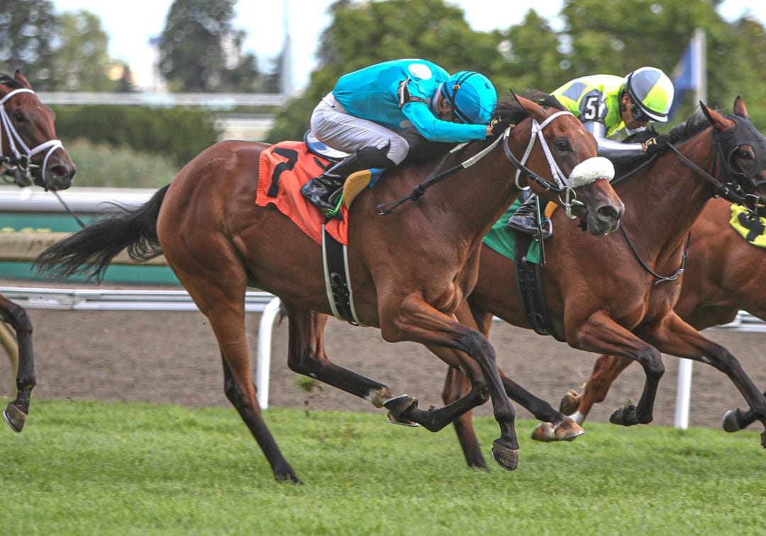 Star Attraction wins maiden at WO Aug 17 2025