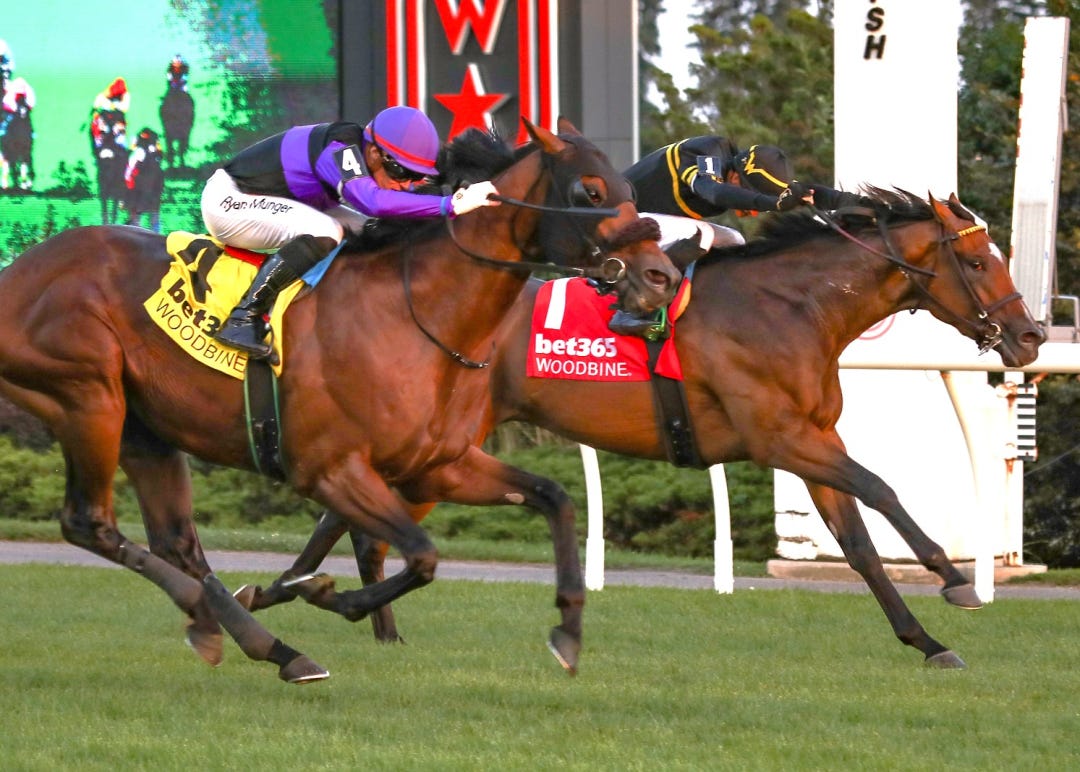 Awesome Bourbon (No. 4) beats Monterey Bay0 at WO Aug 16 2025