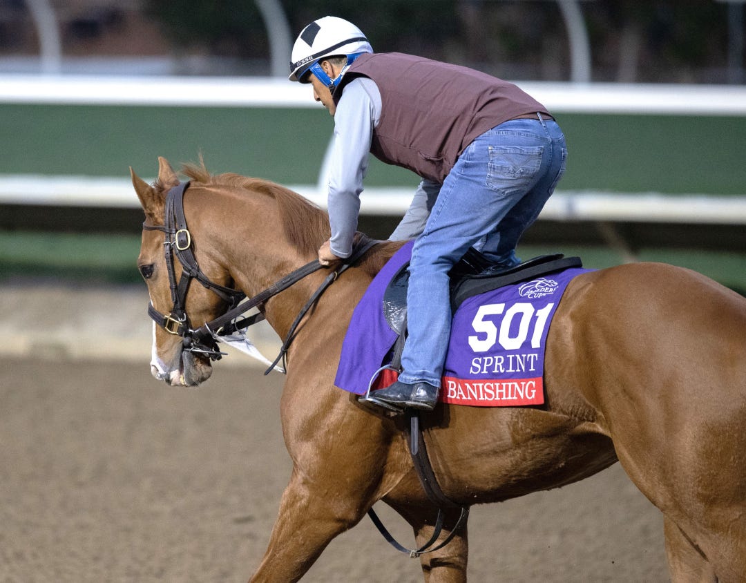 Banishing trains at DMR Oct 26 2025