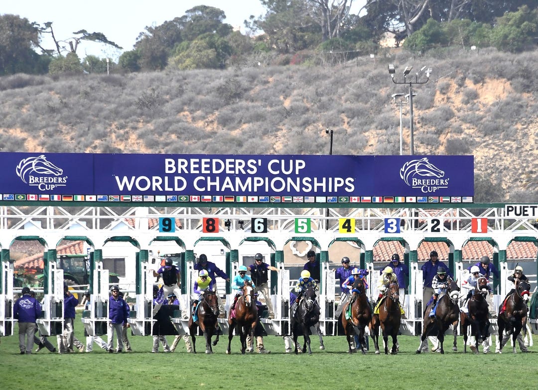 Del Mar. Breeders' Cup.starting gate Oct 31 2025