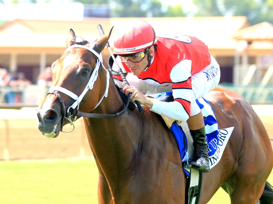 Destino d'Oro wins Pucker Up at ELP Aug 3 2025