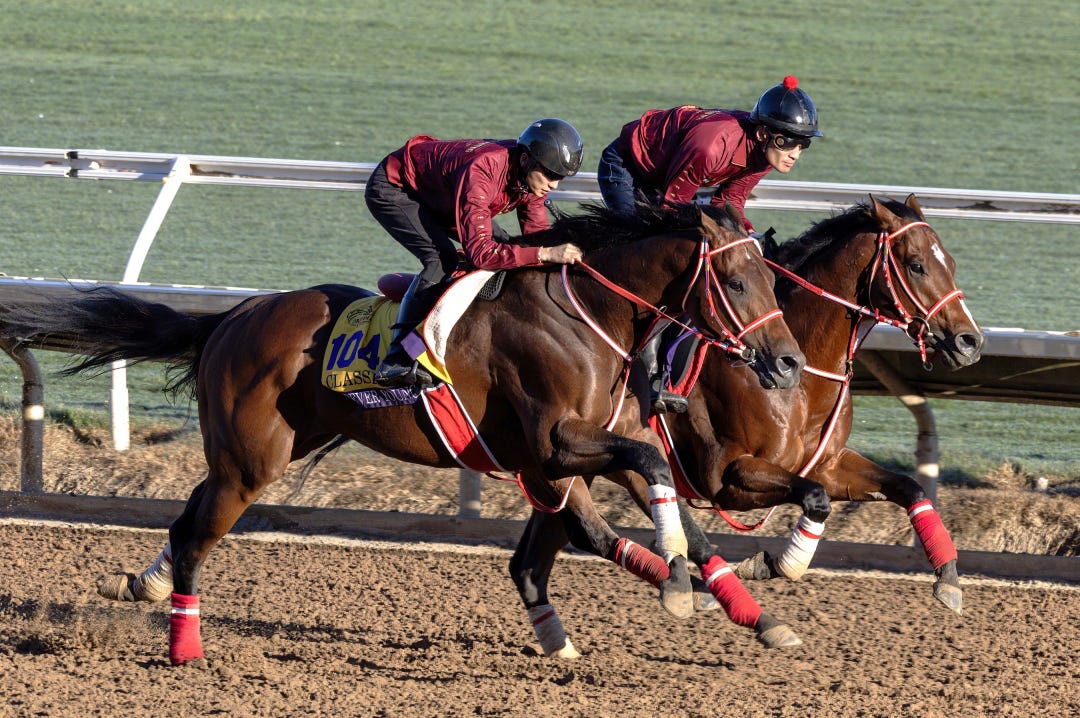 Forever Young (outside) works with American Stage at DMR Oct 29 2025