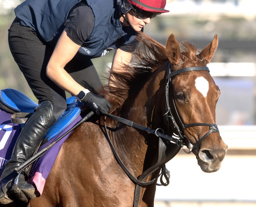 Precise at DMR Oct 29 2025