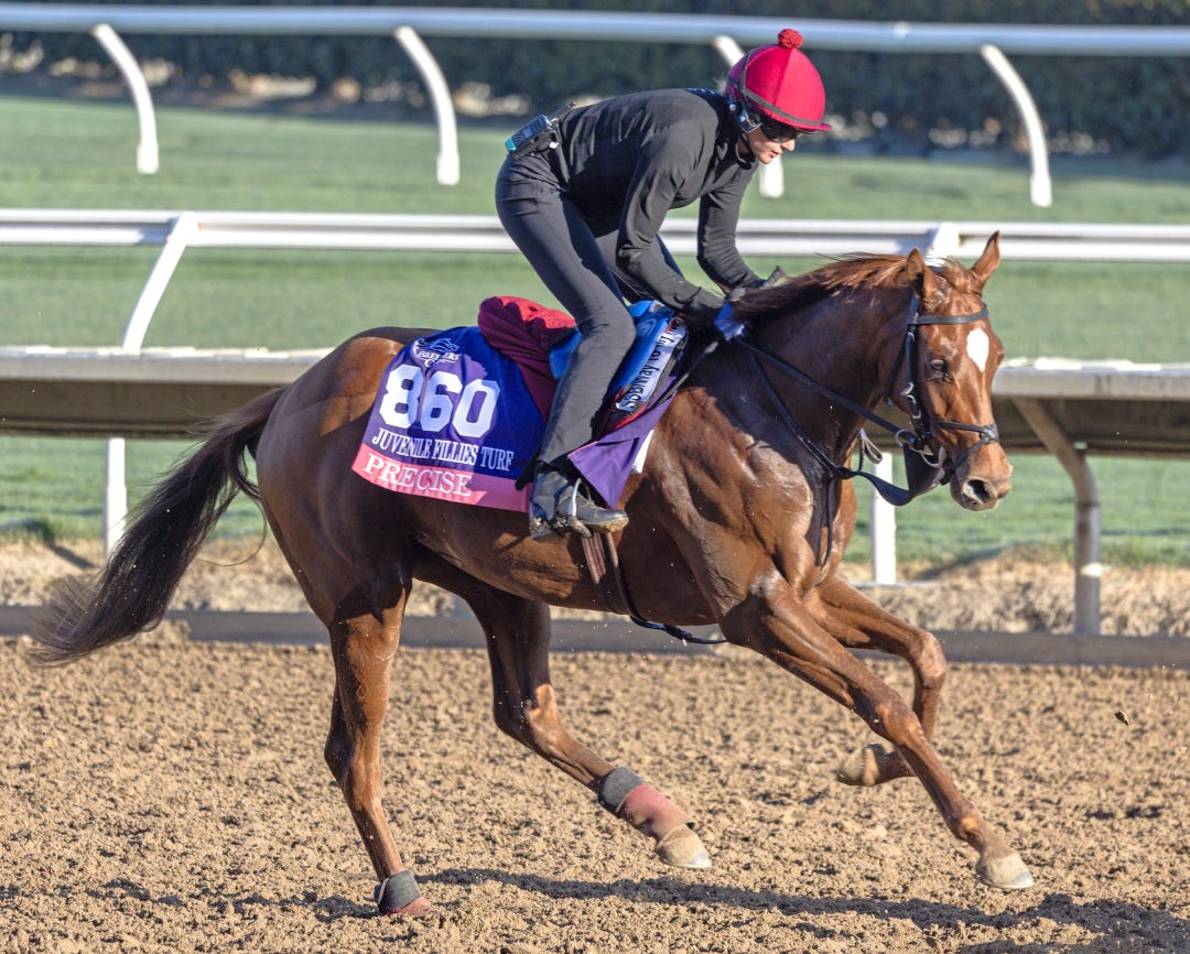 Precise trains at DMR Oct 28 2025