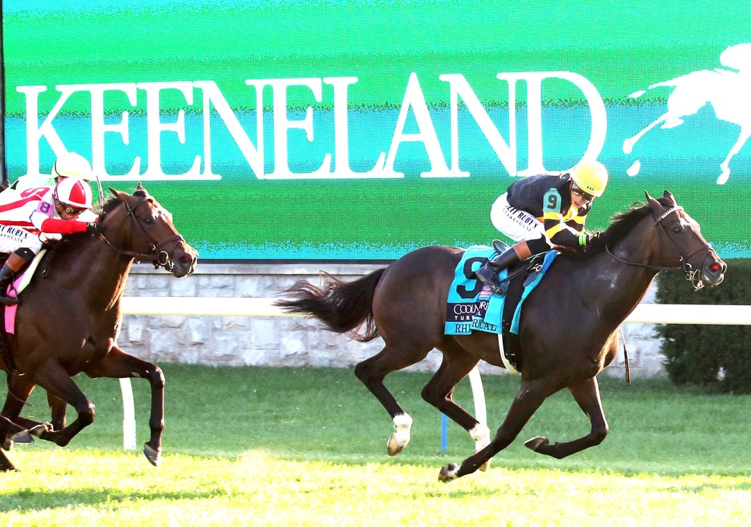 Rhetorical wins Coolmore Turf Mile at KEE Oct 4 2025