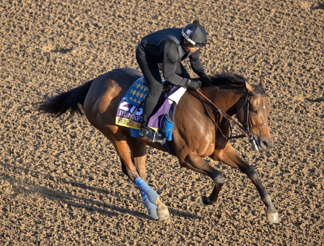 Seismic Beauty trains at DMR Oct 28 2025