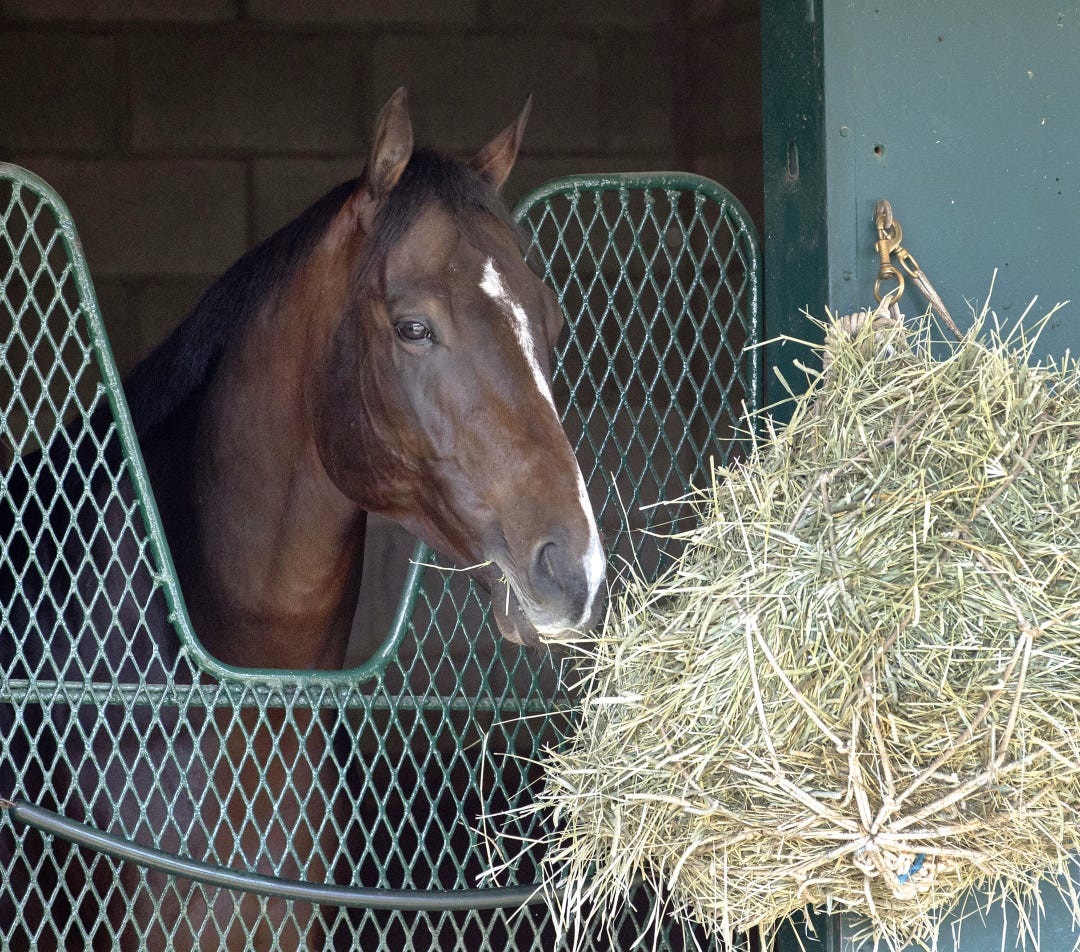 Sovereignty at DMR Oct 28 2025