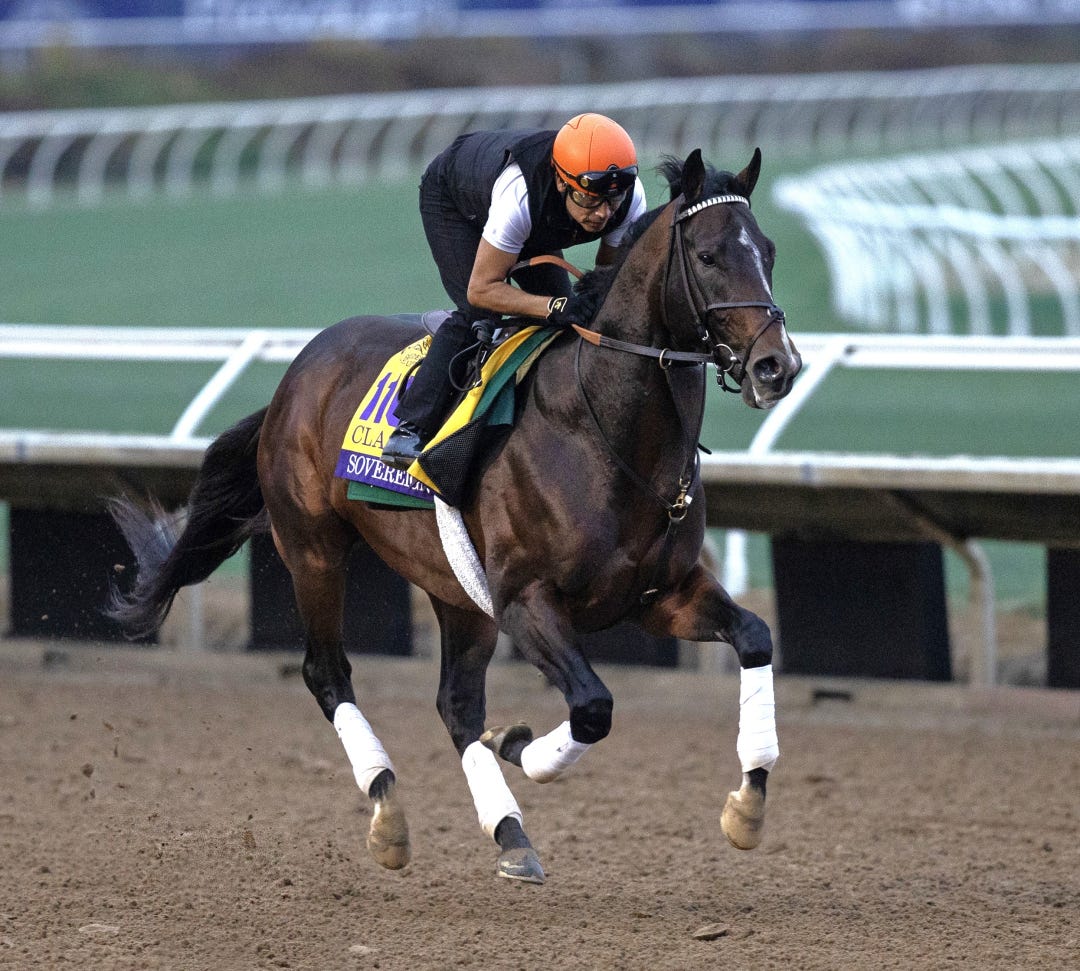 Sovereignty gallops at DMR Oct 24 2025