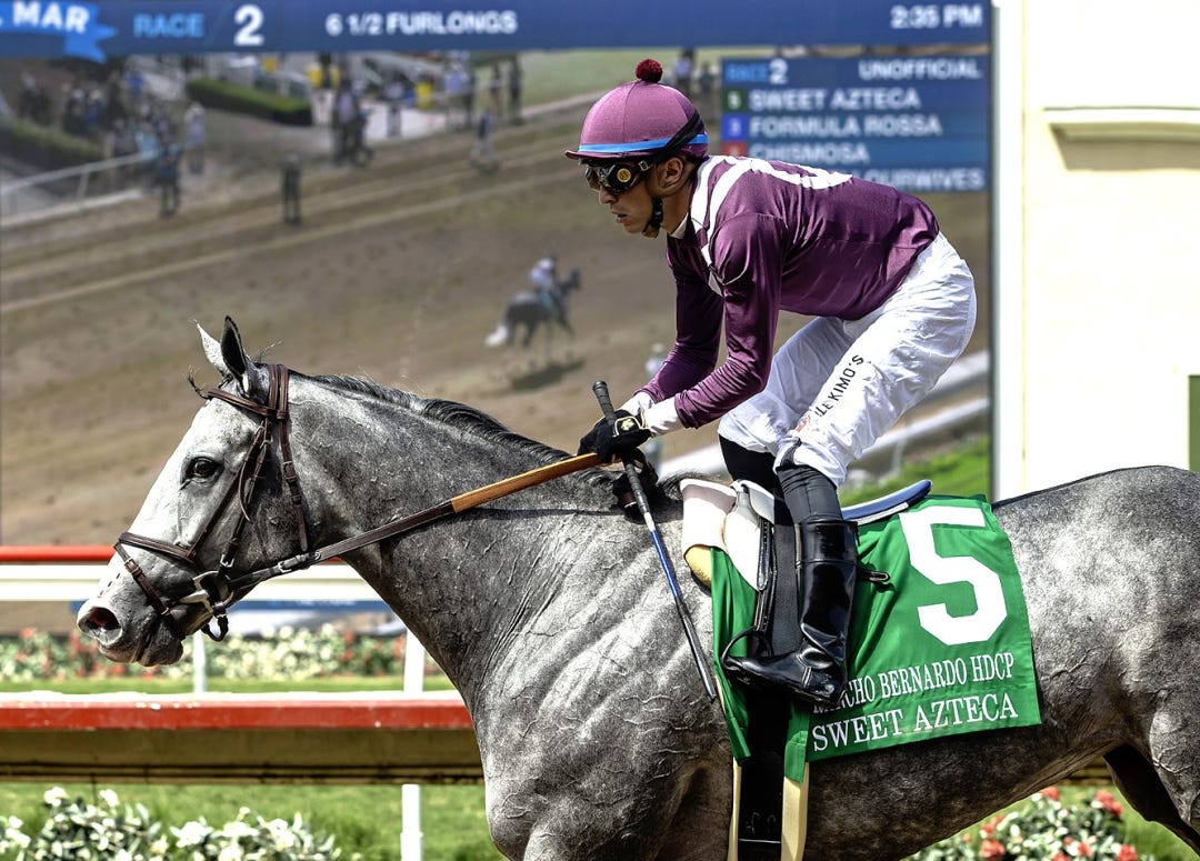 Sweet Azteca after Rancho Bernardo at DMR Aug 24 2025