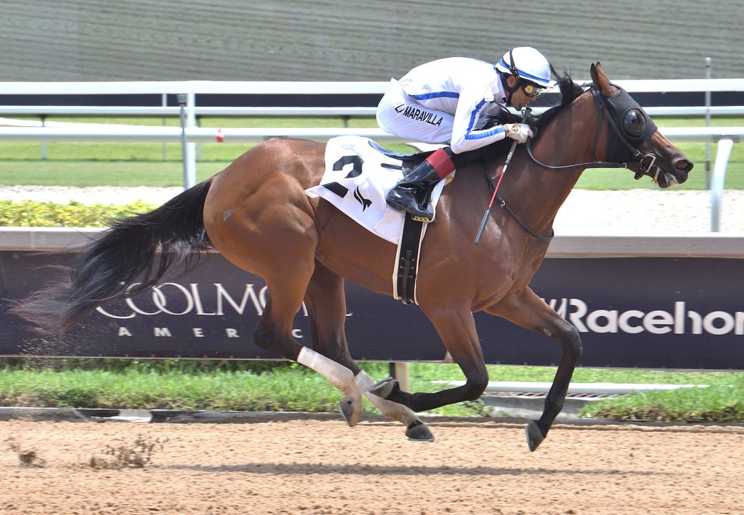 Airdrie Hill wins maiden at GP June 23 2024