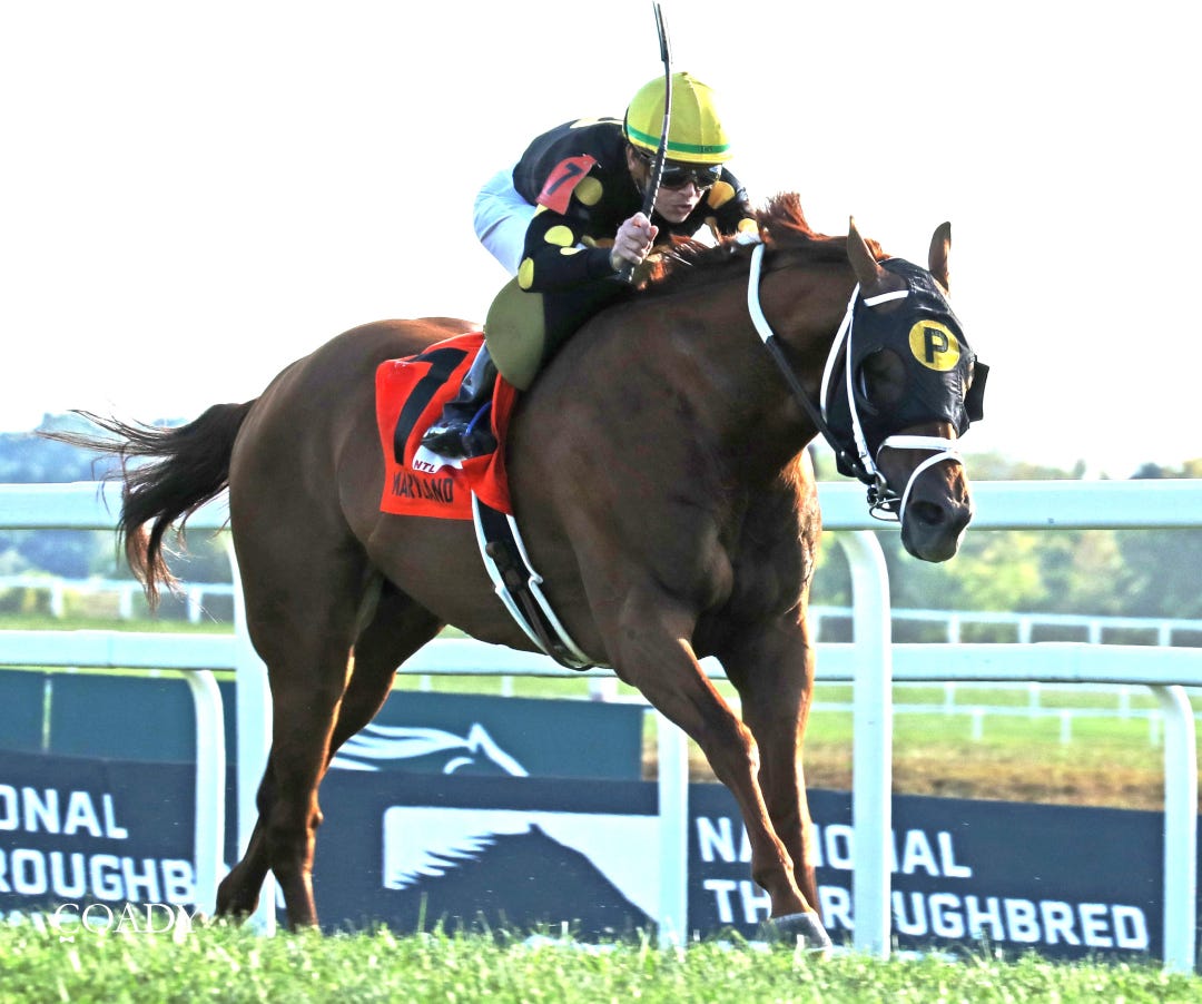 Chasing the Crown wins a handicap at KD Aug 31 2025