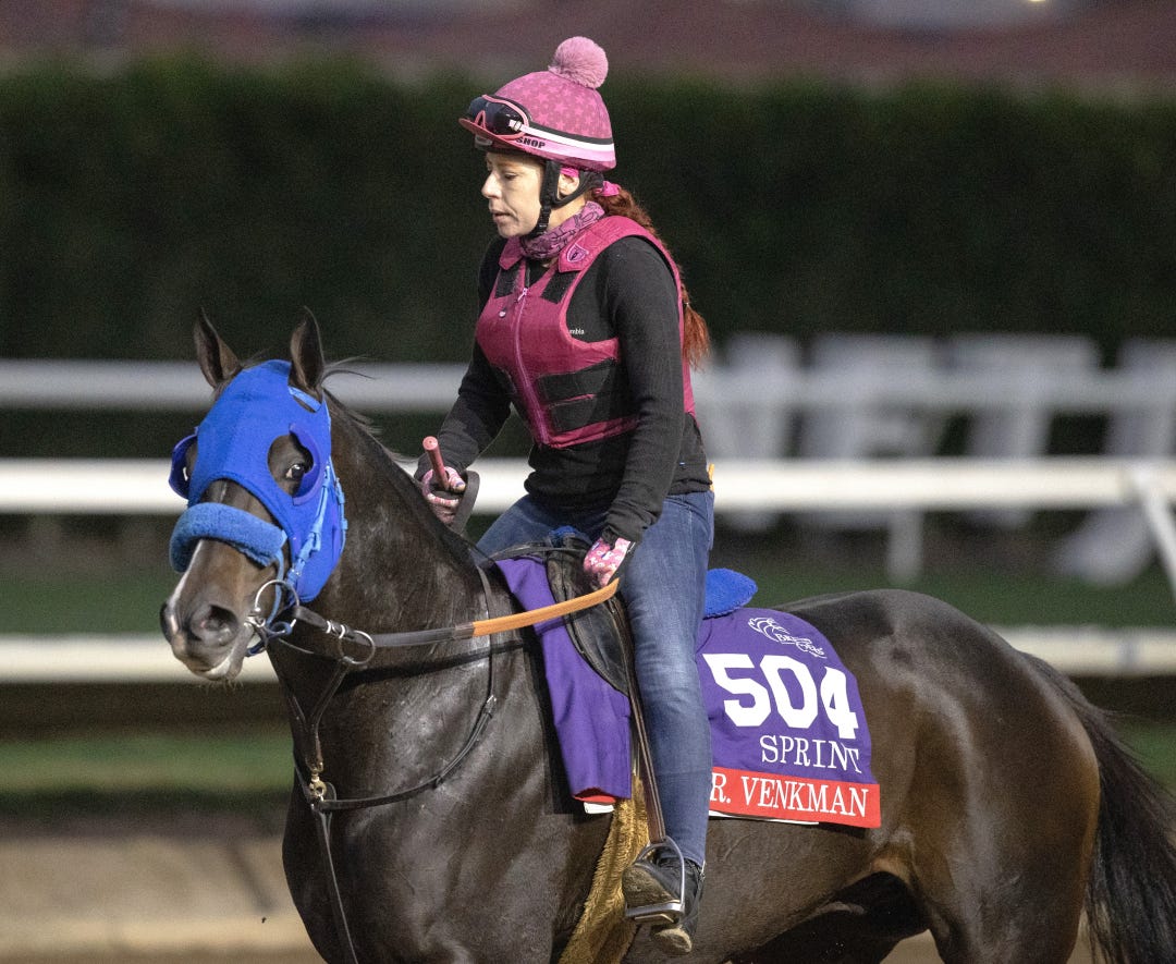 Dr. Venkman at DMR Oct 27 2025