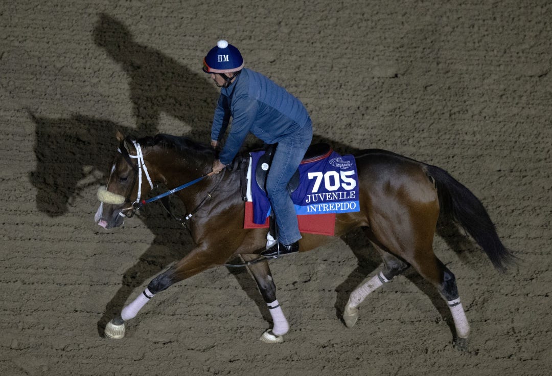 Intrepido trains at DMR Oct 28 2025