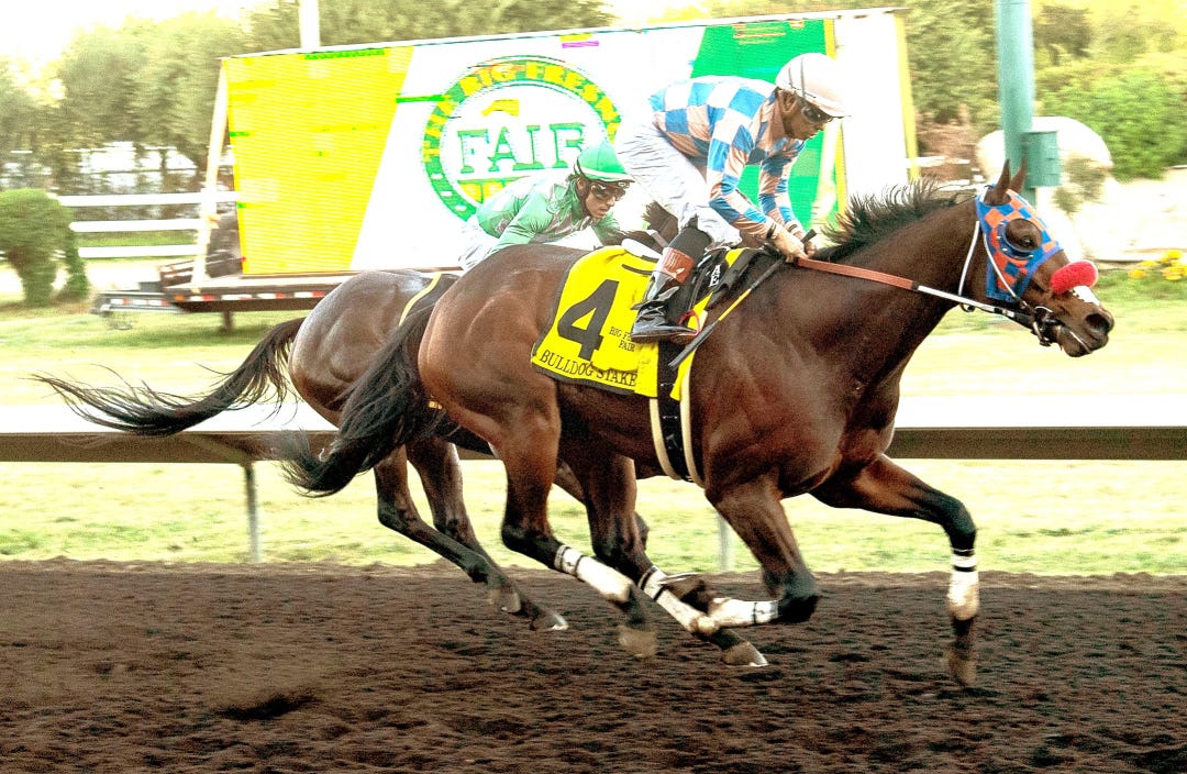 Lammas wins Bulldog at FNO Oct 13 2024