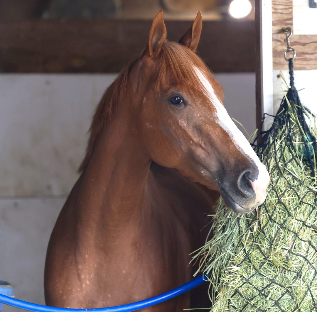 Ourdaydreaminggirl at Parx Sept 18 2025