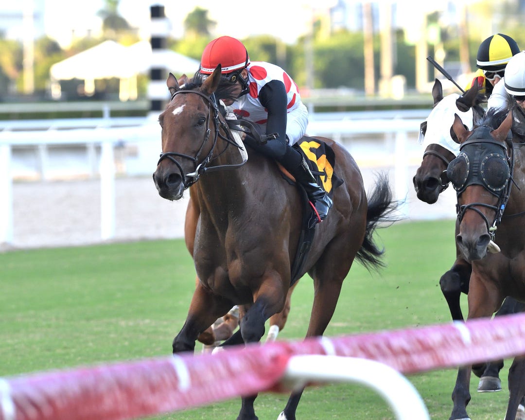 Souper Forces wins the Showing Up at GP Nov 1 2025