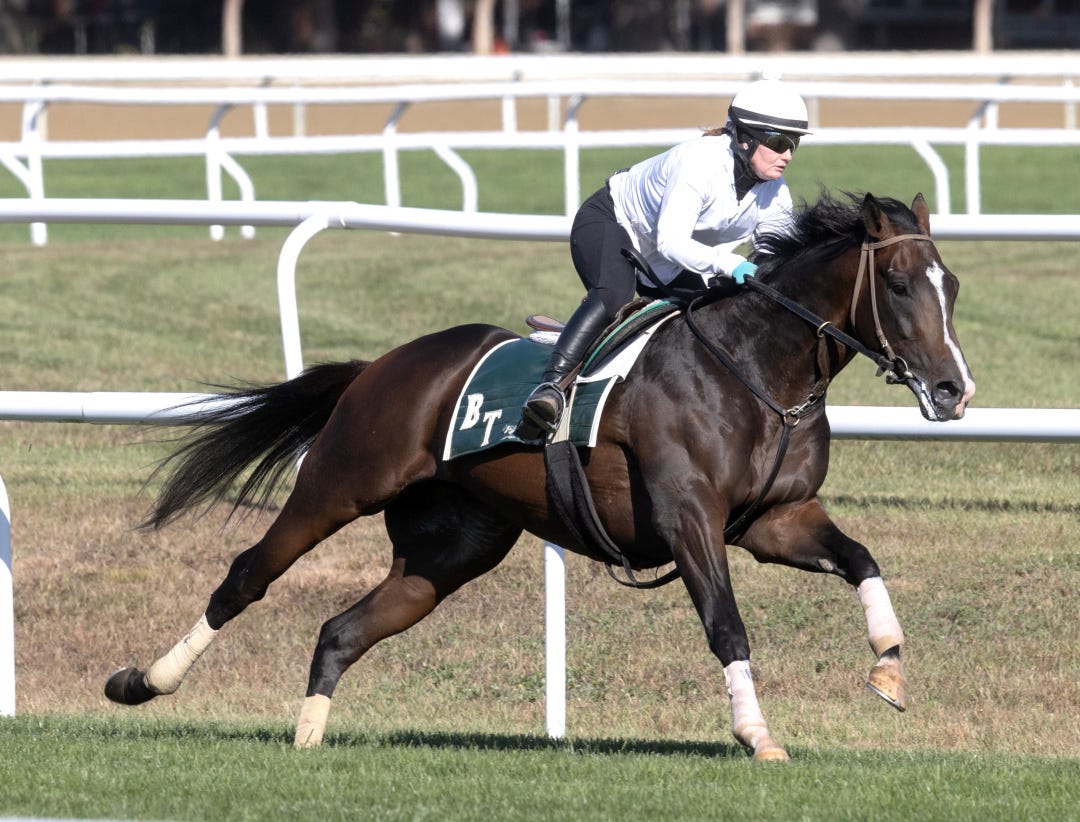 Tiz Dashing works at SAR Oct 3 2025