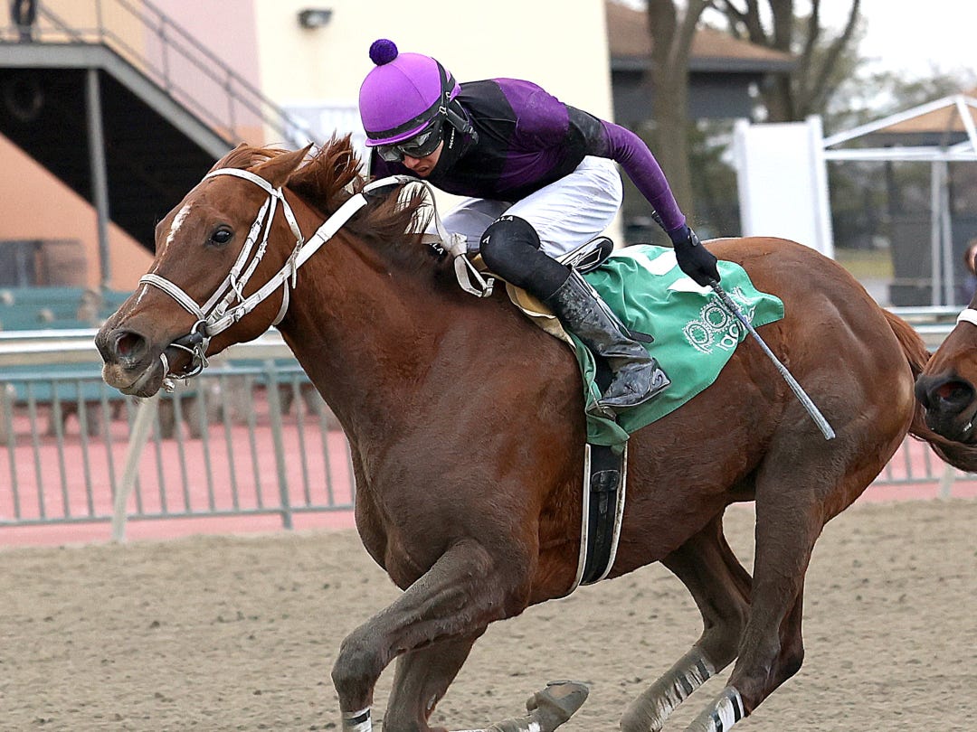 Boutwell Time wins Mrs. Claus at PRX Dec 31 2025