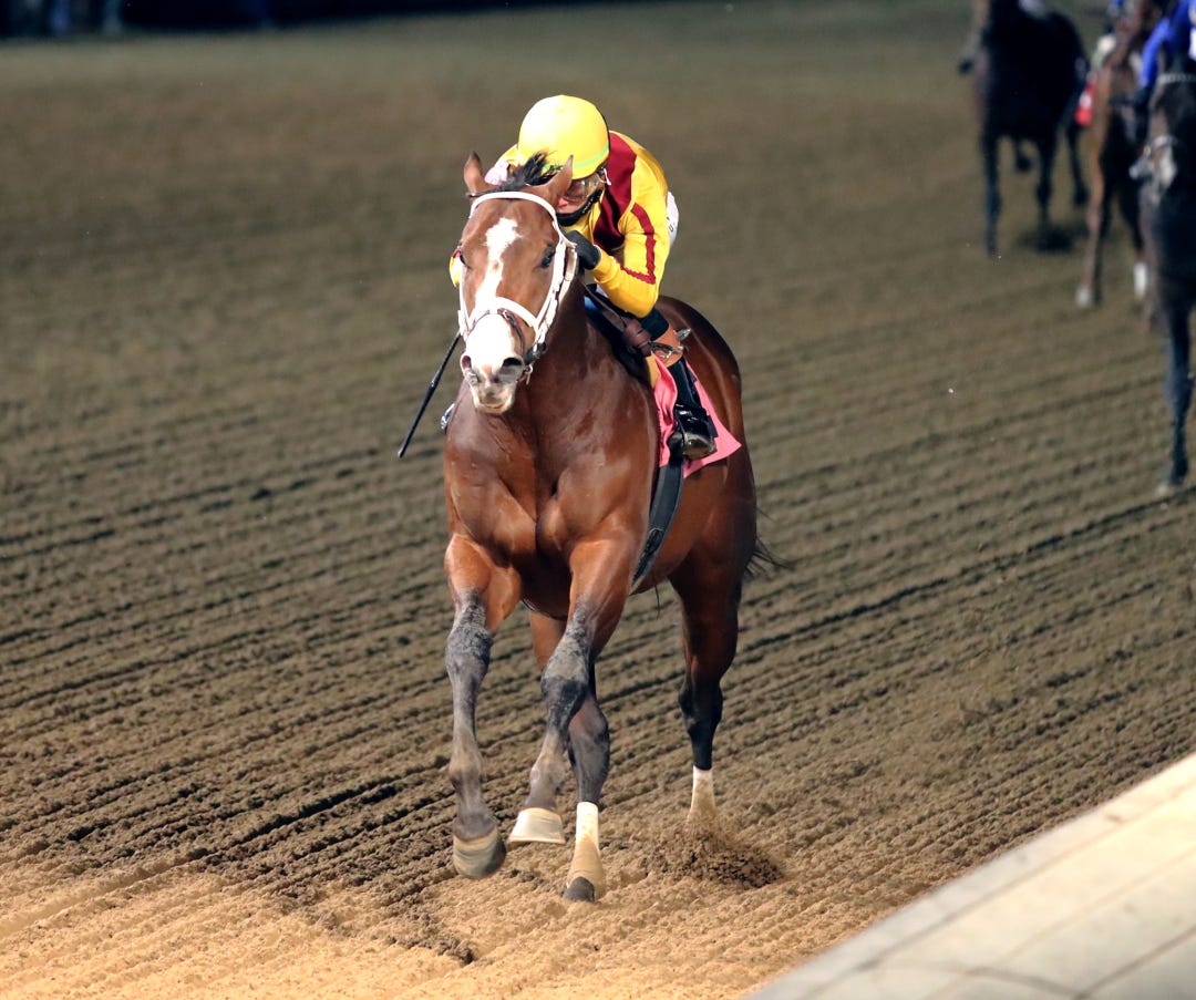 Cannoneer wins maiden at CD Nov 29 2025