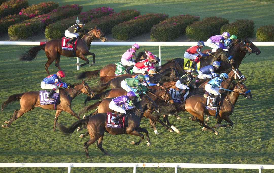 Gstaad wins BC Juvenile Turf at DMR Oct 31 2025