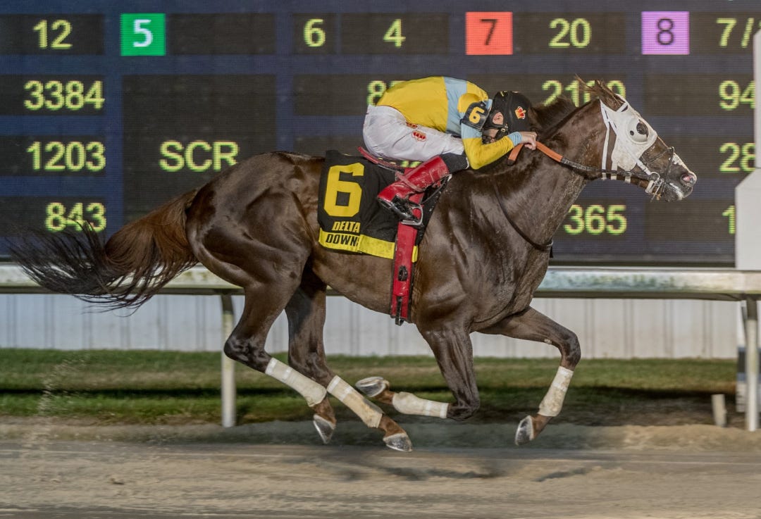 Komorebino Omoide wins Delta Mile Nov 8 2024