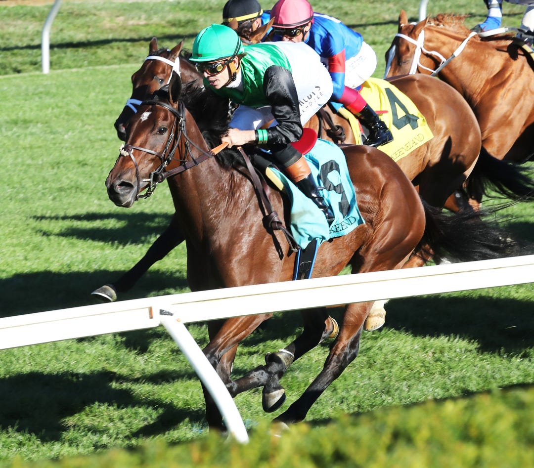 Proctor Street wins at KEE Oct 16 2025