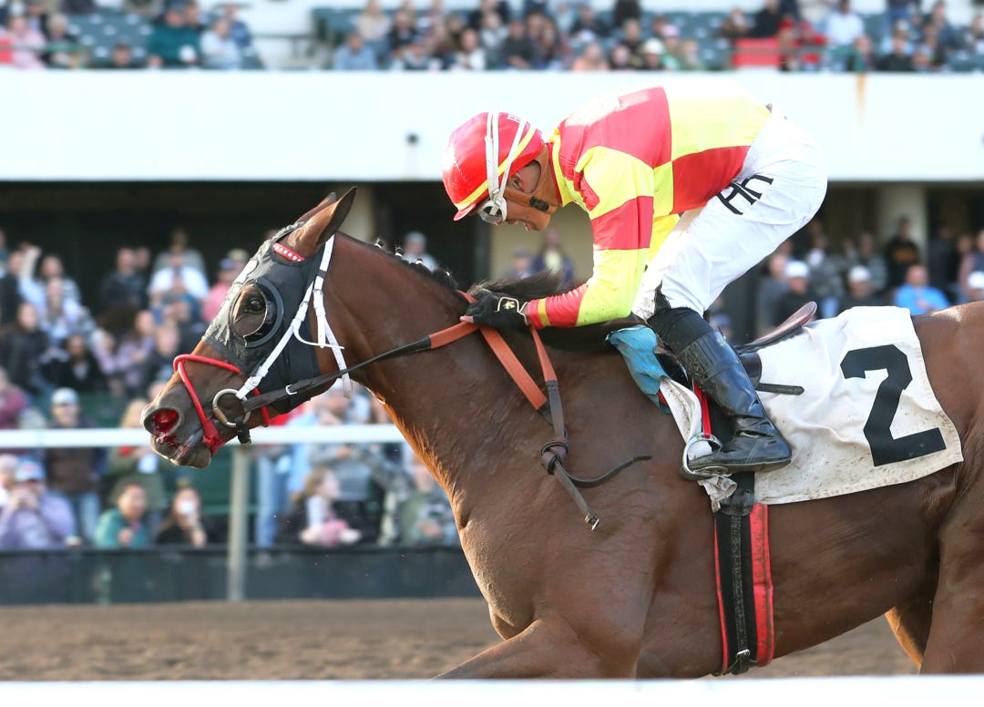 Thunders Rocknroll wins Minnesota Distaff Sprint Championship at CBY Sept 6 2025