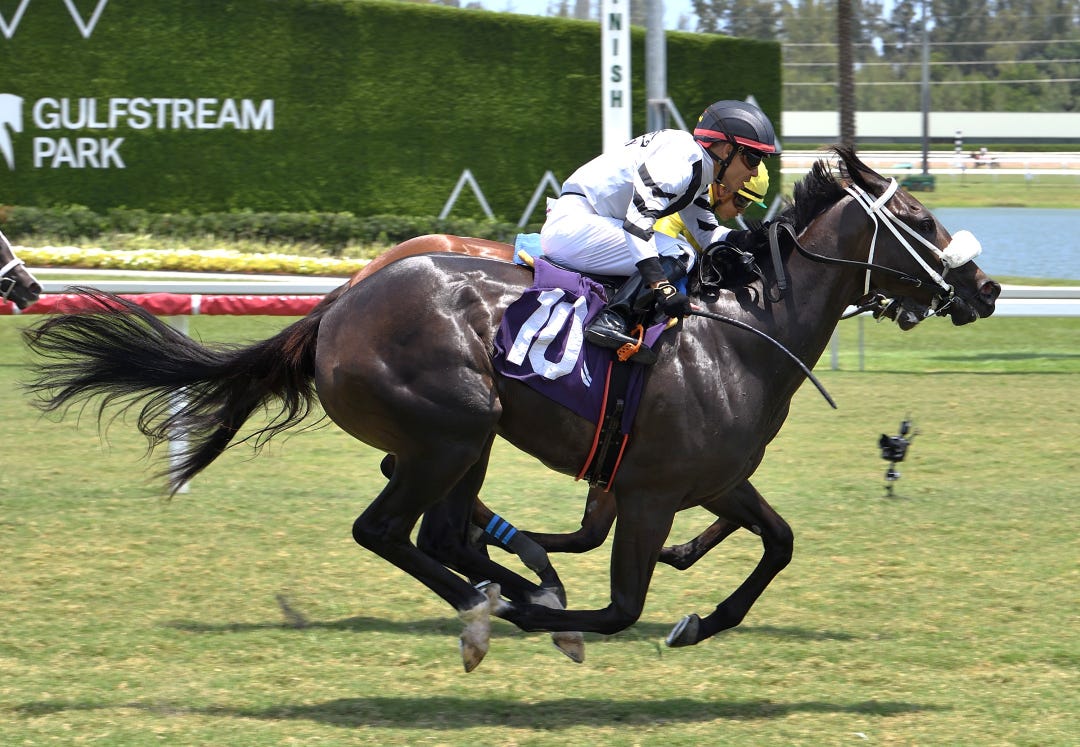 Tululo wins debut at GP May 22 2025