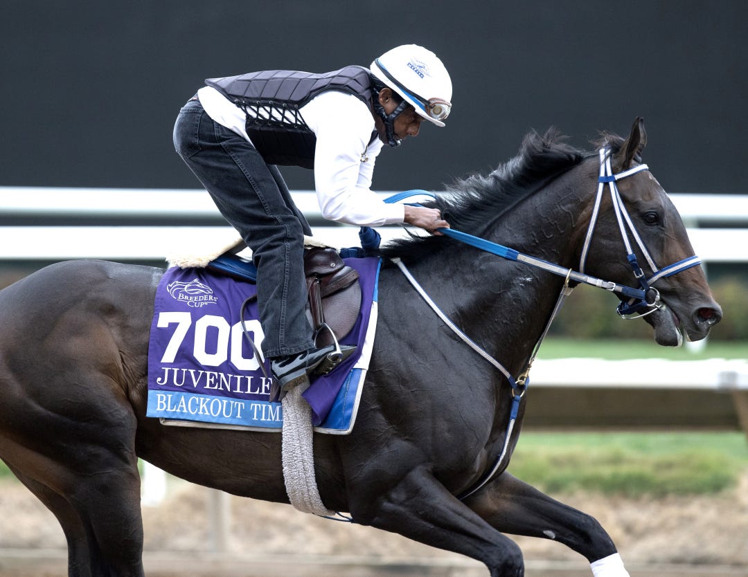 Blackout Time. at DMR Oct 27 2025