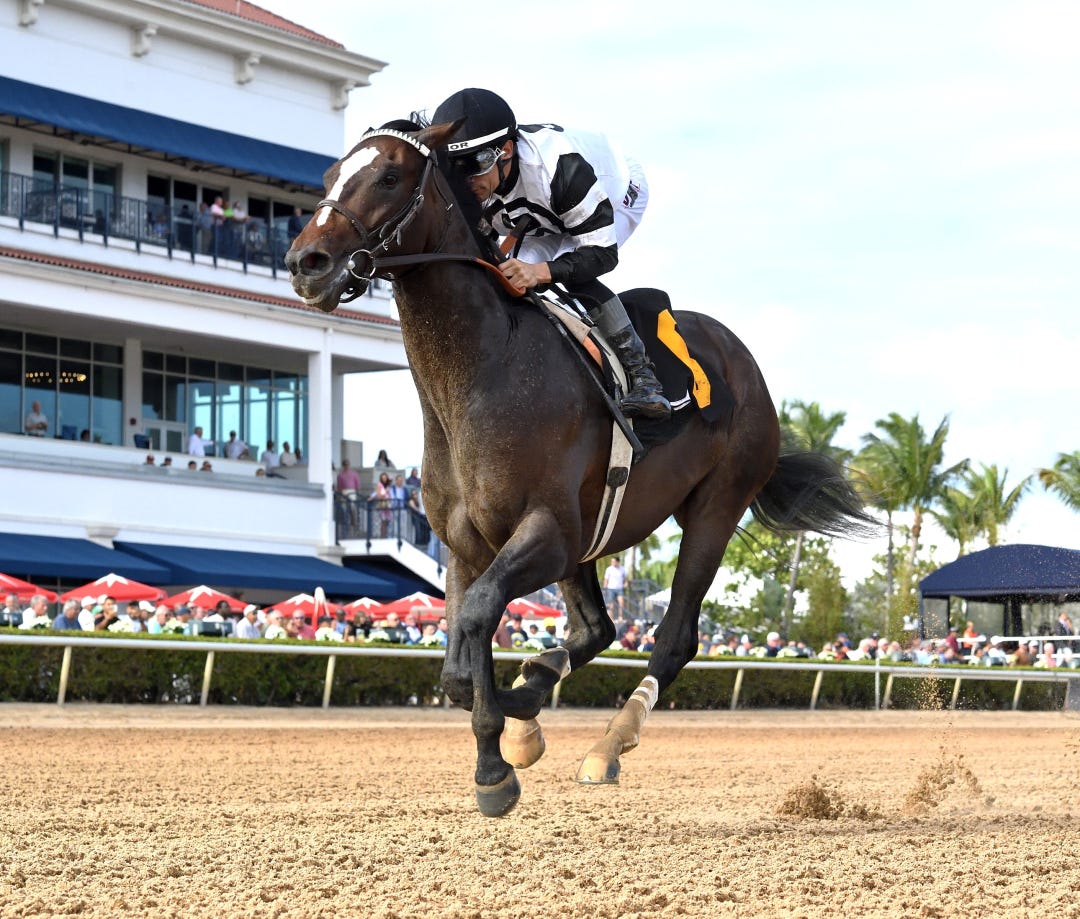 Chief Wallabee wins maiden at GP Jan 10 2026
