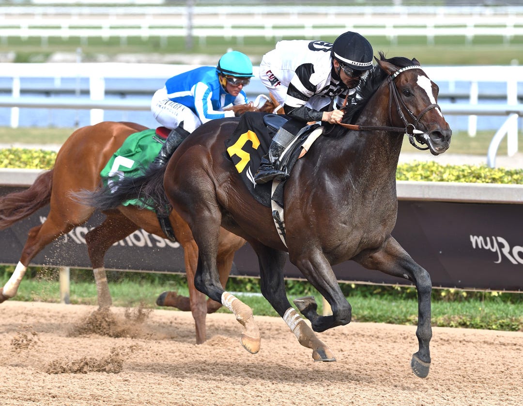 Chief Wallabee wins maiden at Gulfstream Jan 10 2026
