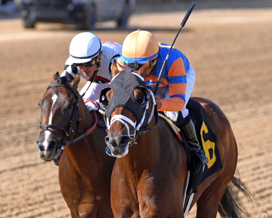 Grande (right) beats Praetor at GP Feb 14 2026