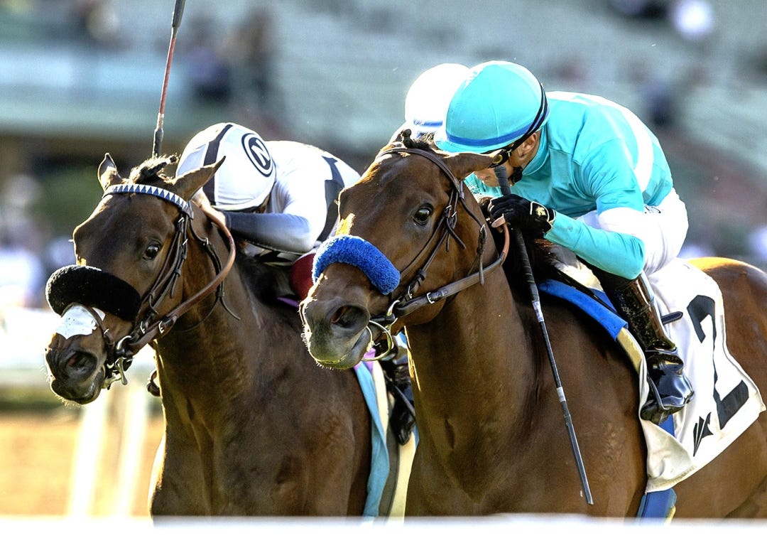 Greenwich Village wins the Pasadena at SA Feb 22 2026