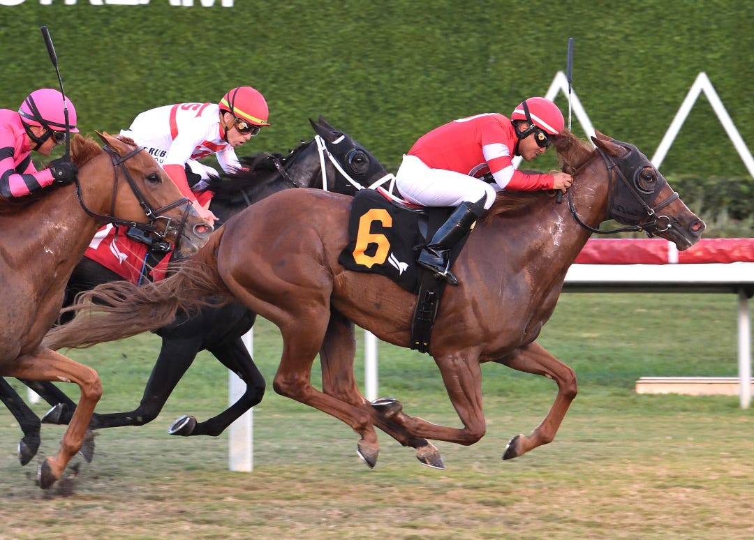 Ifyousaidso wins at GP Jan 8 2026