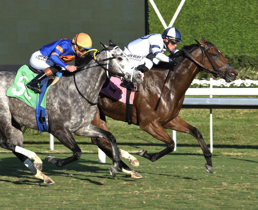Moon Spun (right) wins Abundantia at GP Dec 27 2025