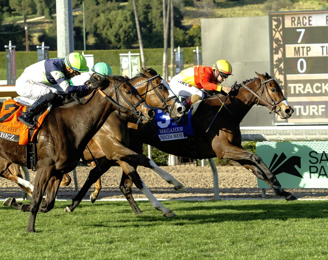 Princess Moche wins Megahertz at SA Jan 31 2026